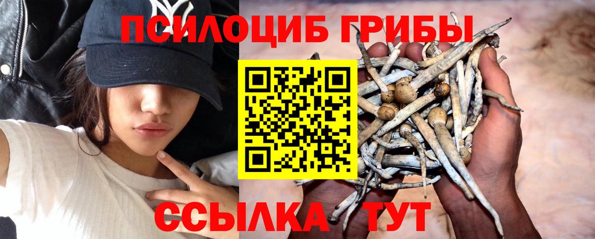 Саянск  Галлюциногенные грибы Magic Shrooms  Вход с VPN  Псилоцибиновые грибы мухоморы 